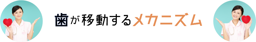 歯が移動するメカニズム
