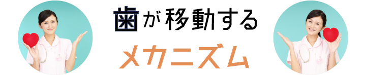 歯が移動するメカニズム